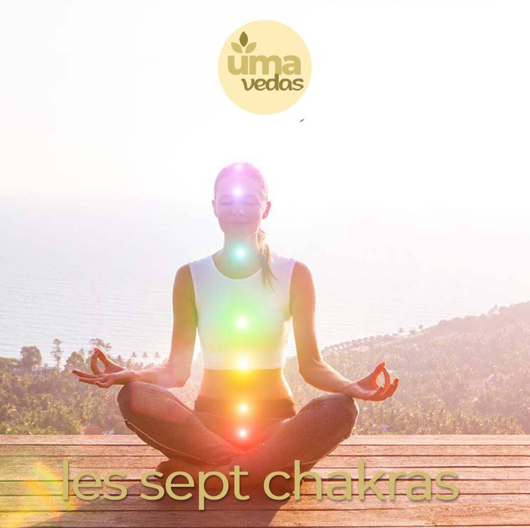 Lire la suite à propos de l’article Sapta chakra : les 7 centres énergétiques