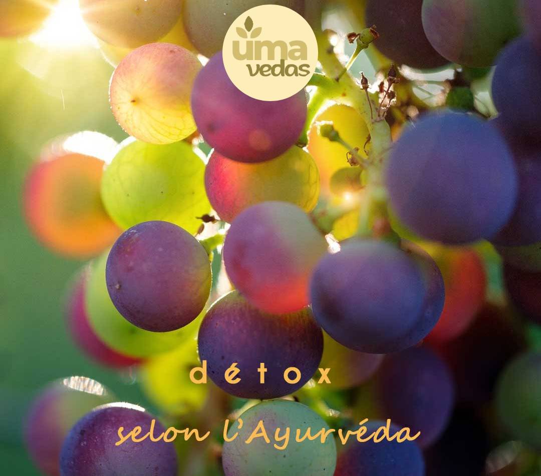 Lire la suite à propos de l’article Détox ayurvédique