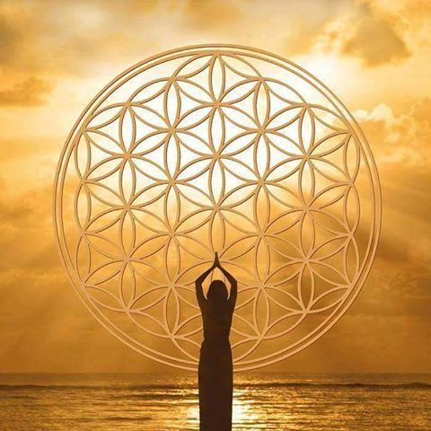 Lire la suite à propos de l’article Signification et bienfaits de la Fleur de vie