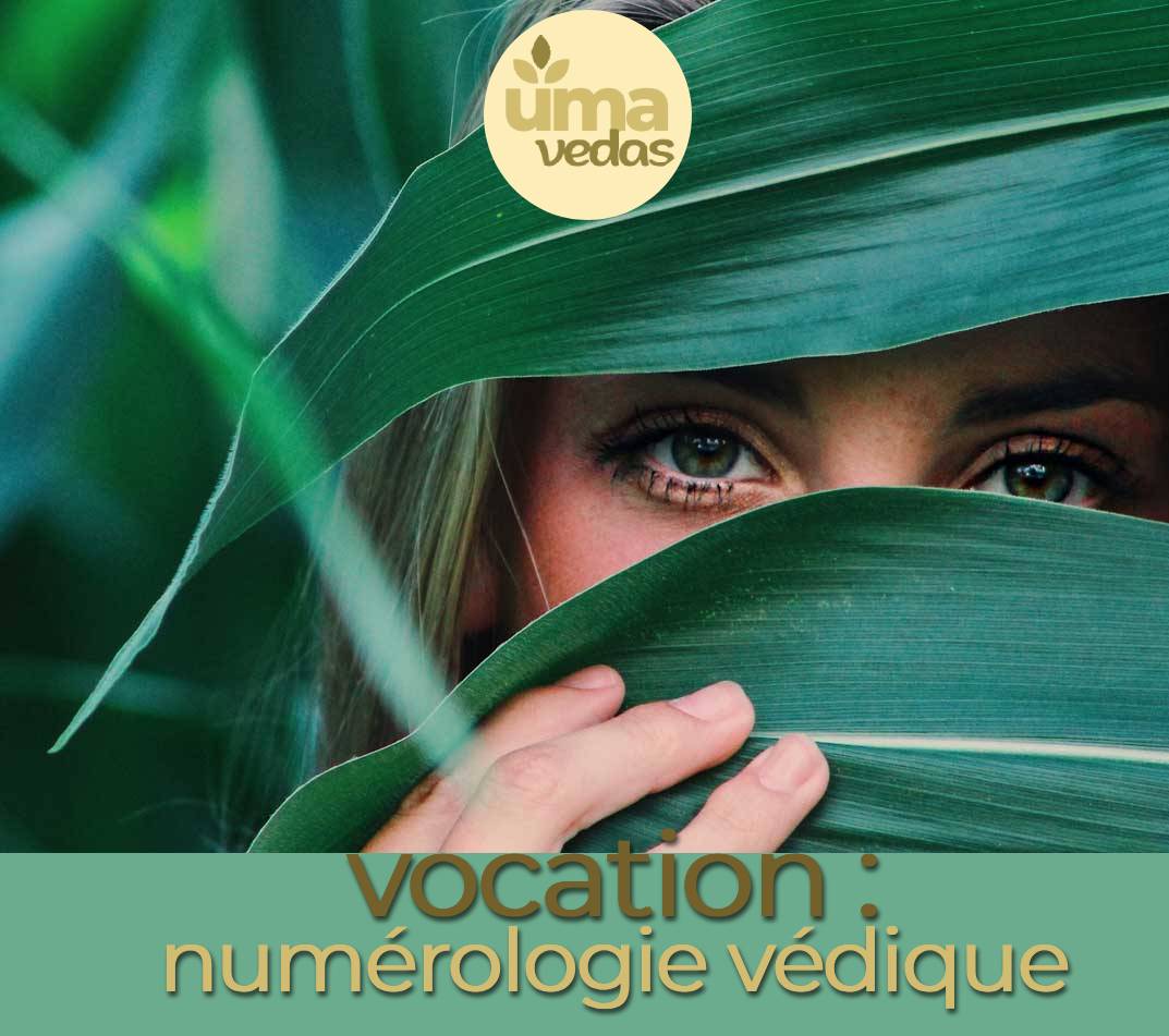 numérologie métier