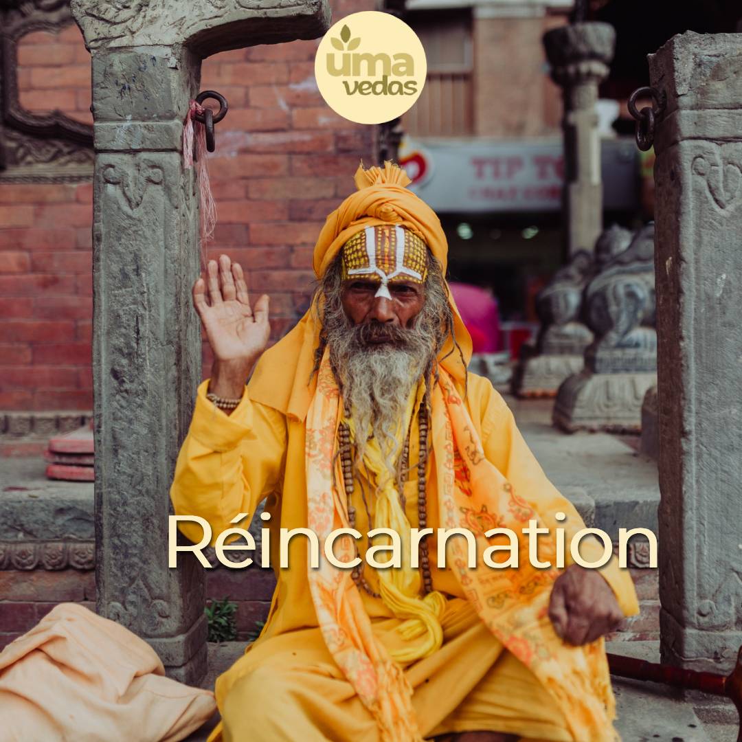 You are currently viewing Réincarnation et samskaras