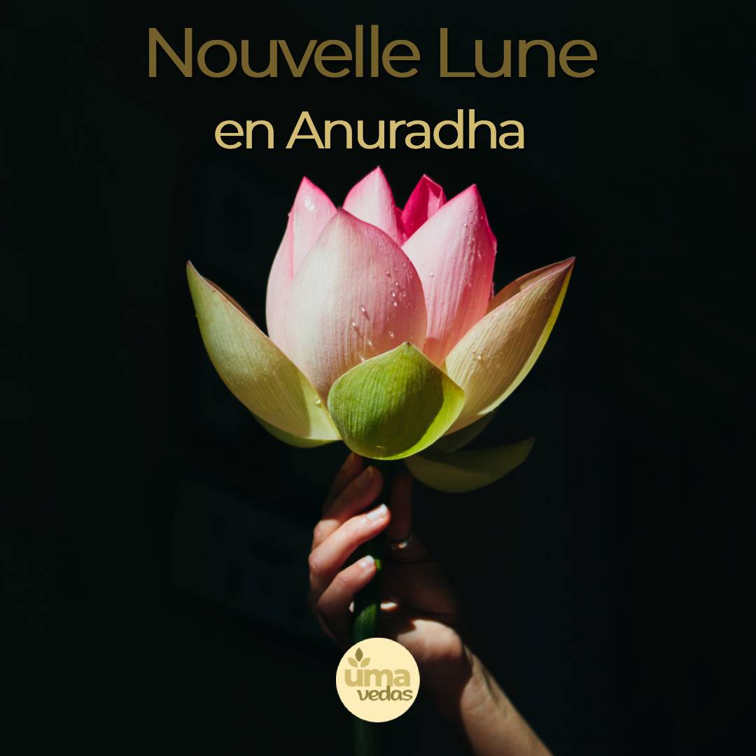 You are currently viewing Nouvelle Lune en Anuradha