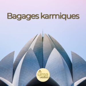 Lire la suite à propos de l’article Bagages karmiques