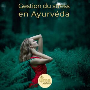 Lire la suite à propos de l’article Gestion du stress en Ayurvéda