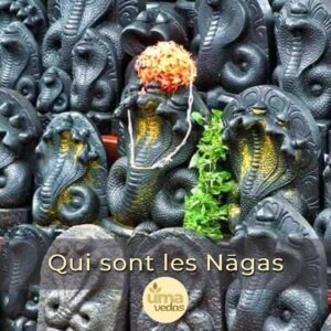 Lire la suite à propos de l’article Qui sont les Nāgas dans l&rsquo;astrologie védique