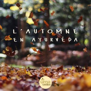 Lire la suite à propos de l’article L’automne en Ayurveda