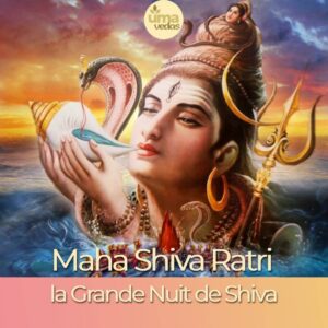 Lire la suite à propos de l’article Maha ShivaRatri – la Grande Nuit de Shiva 