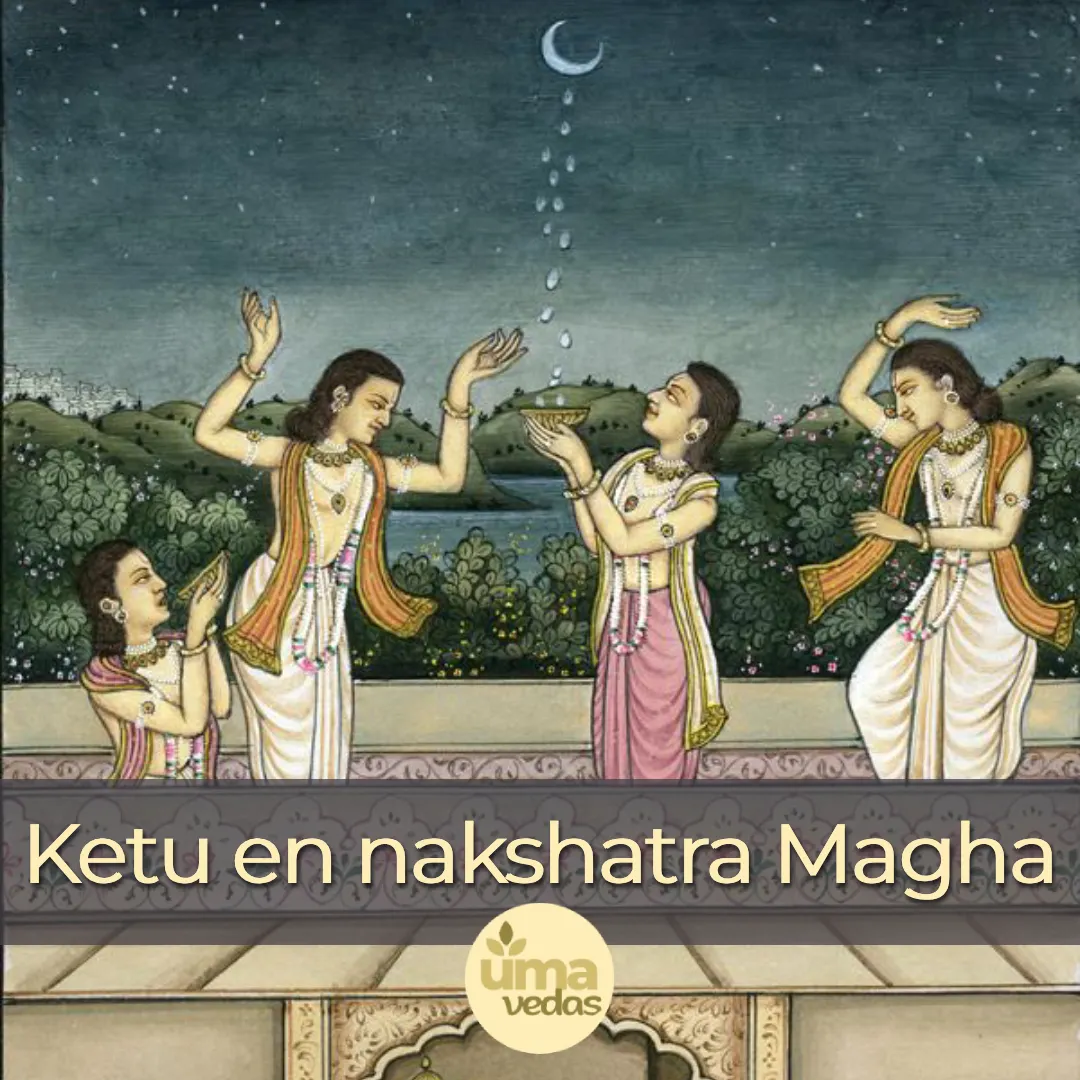 You are currently viewing Ketu en nakshatra Magha