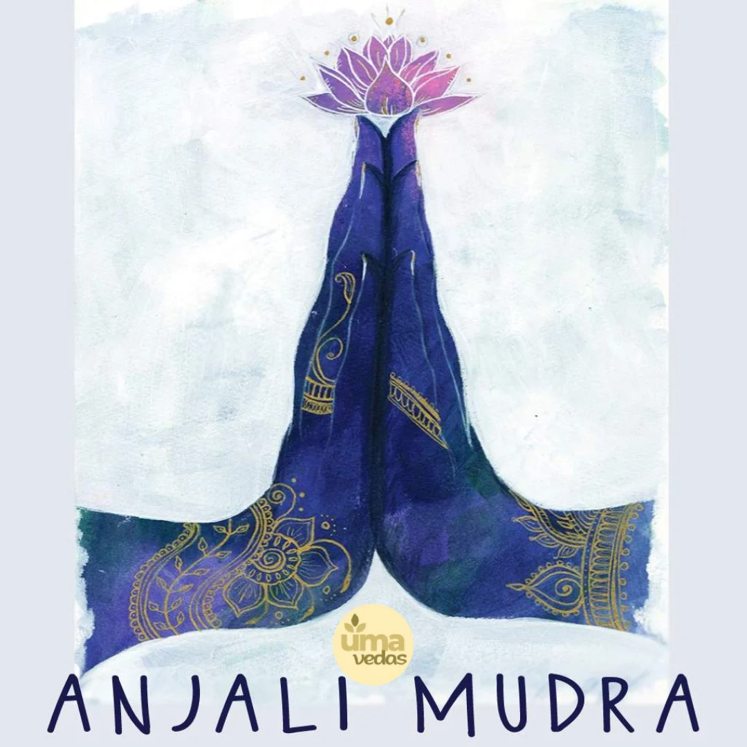 You are currently viewing Anjali mudra : namasté