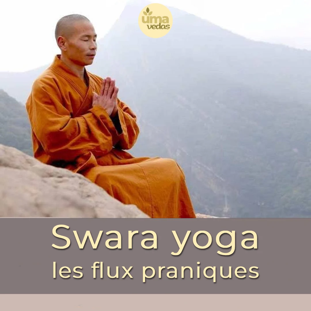 You are currently viewing Swara yoga : les flux praniques