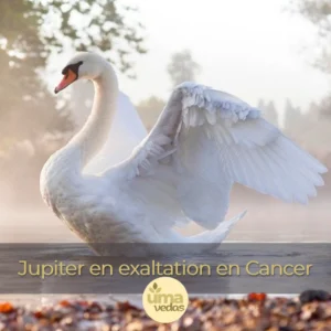 Lire la suite à propos de l’article Jupiter en exaltation en Cancer