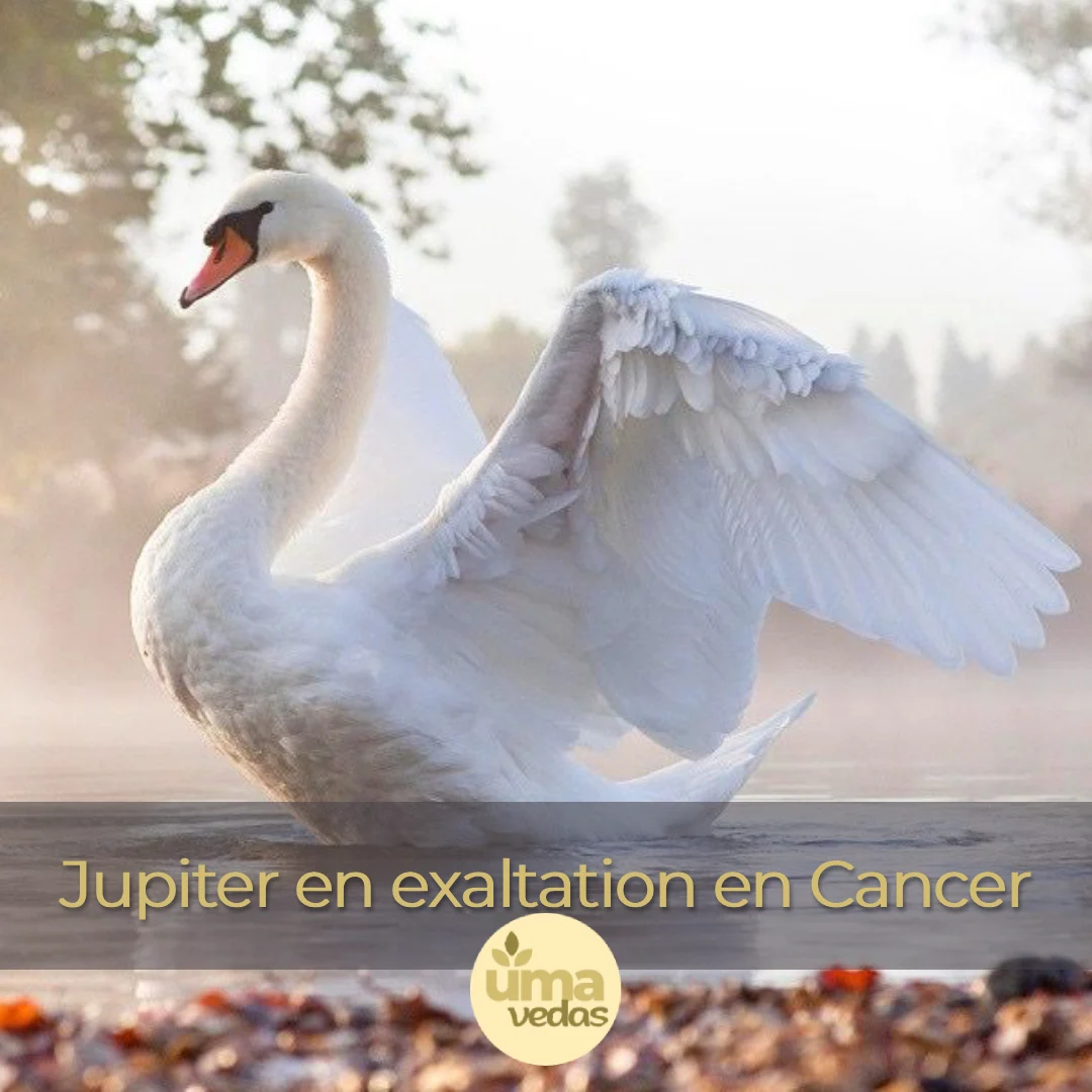 Lire la suite à propos de l’article Jupiter en exaltation en Cancer